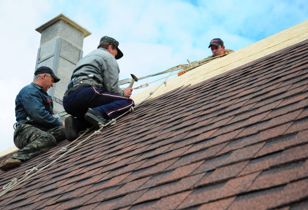 Best Metal Roofing Contractor  in Empire, CA